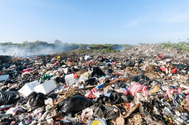 istock Tons of waist in Indonesia on a garbage dump in nature 1088123768