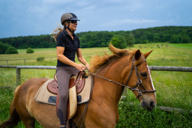 istock leisure rider riding horse over meadow 1088123874