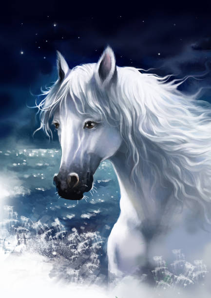 portrait-of-a-white-horse-