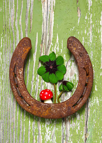 Old horseshoe with four leaf clover and fly agaric mushroom. Lucky charm. Copy space.