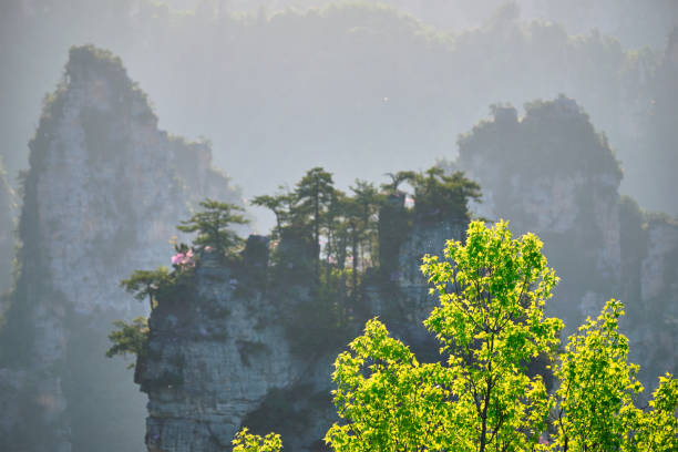 Famous tourist attraction of China - Zhangjiajie stone pillars cliff mountains on sunset at Wulingyuan, Hunan, China