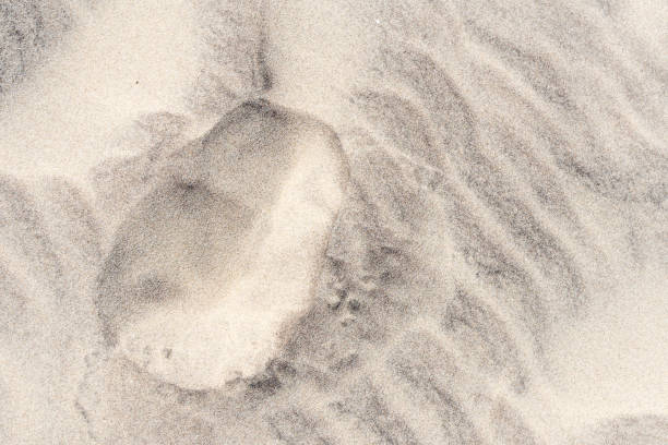 istock Sand beach sandy beach, view from above, imprint in the sand, 1088146508