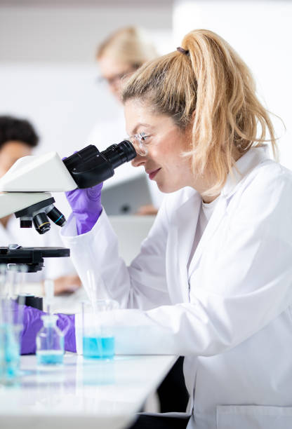 istock Female Scientists Working in The Laboratory 1088151600