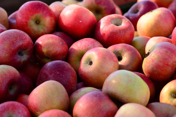 istock Farm market in the fall, apples 1088157754