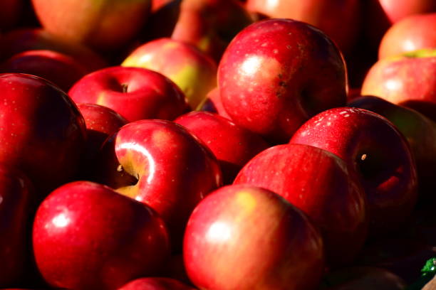 istock Farm market in the fall, apples 1088157794