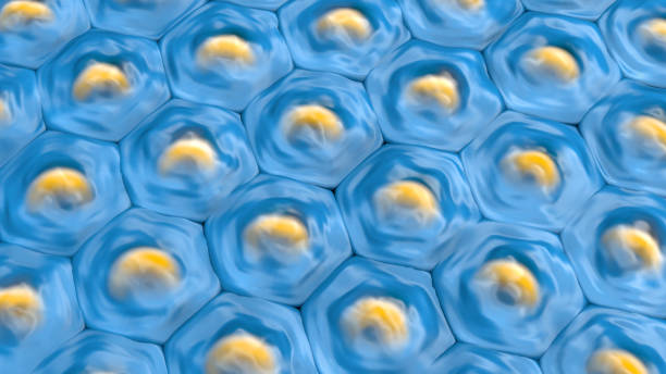 istock 3d illustration of a top view on blue cell pattern with yellow cell nucleus 1088161322