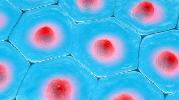 istock 3d illustration of a top view on blue cell pattern with red cell nucleus 1088161776