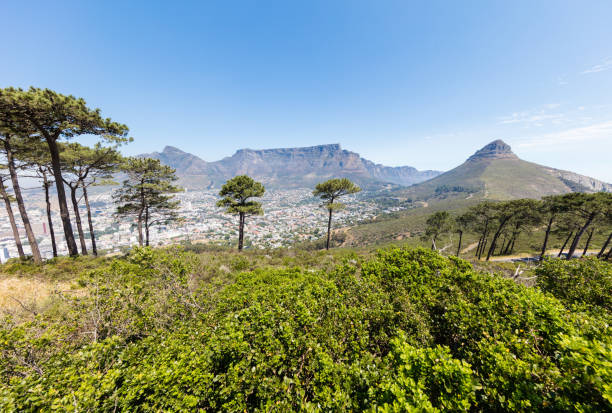 Table mountain and Lion`s head in Cape Town. Image taken with Canon 5 Ds.