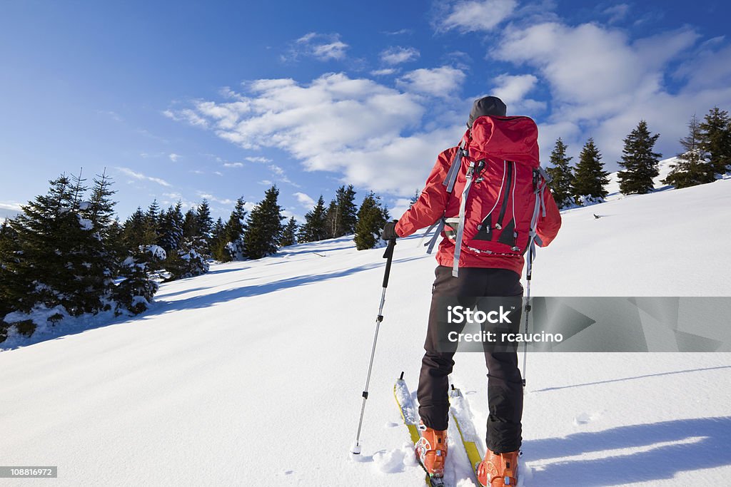 Alpino Esquiador - Foto de stock de Adulto royalty-free