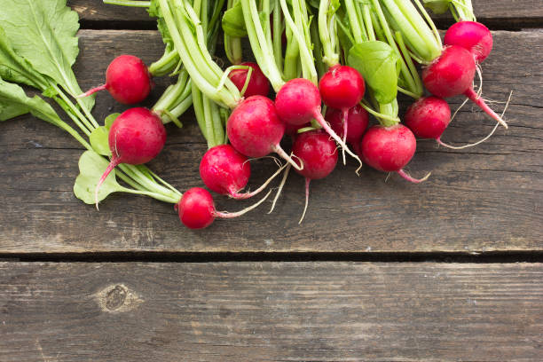 istock Fresh radish with leaves on a round bowl 1088169754
