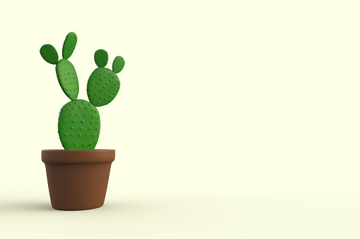 Classic home cactus plant in flower pot isolated on soft yellow background. Free and empty space for text or design on right side. 3D Rendering illustration
