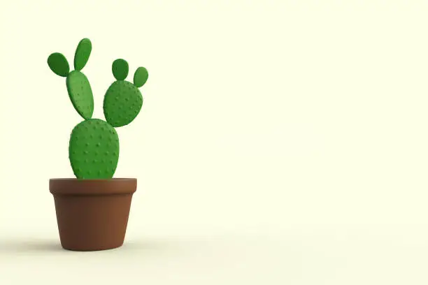 Photo of Home cactus plant in flower pot isolated on soft yellow background