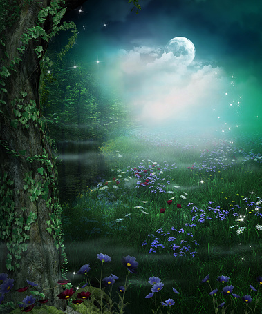 Enchanting fairy forest opening at night and full moon, 3d render illustration
