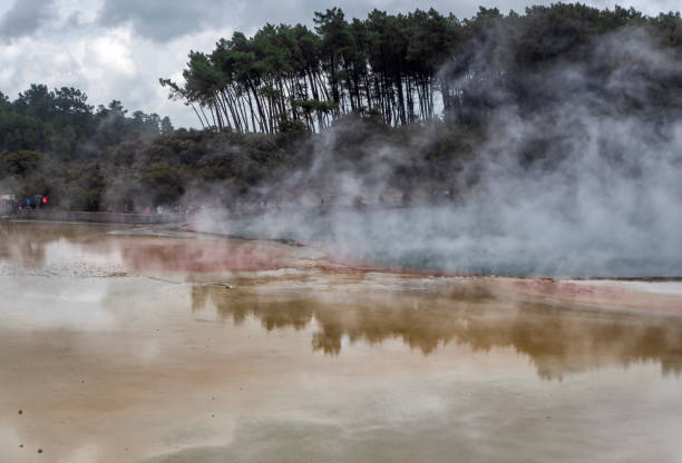 waiotapu thermal wonderland champagne pool - nueva zelanda - new zealand geyser champagne park fotografías e imágenes de stock