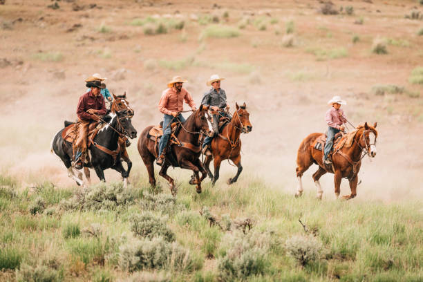 istock Adult cowboys riding galloping horses 1088194564