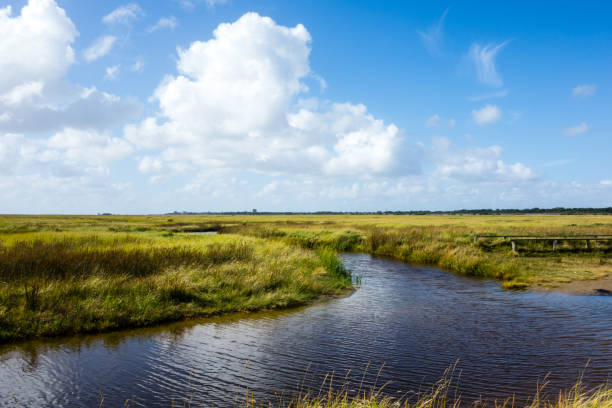 istock Landscape with Priel at the North Sea at blue sky, Germany 1088198704
