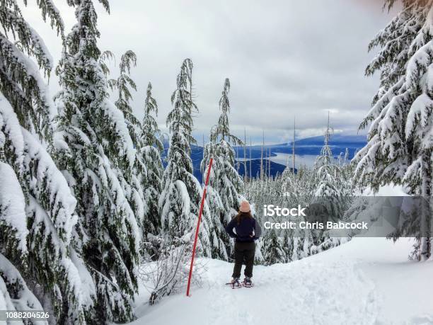 A Young Woman Snowshoeing Along The Bowen Island Lookout Trail On Cypress Mountain Stock Photo - Download Image Now