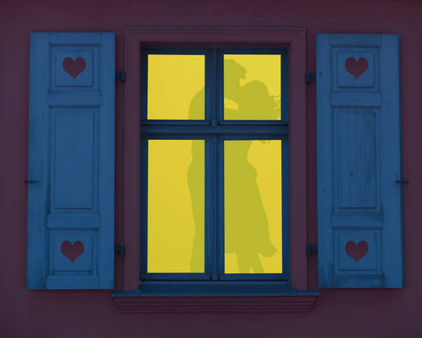 romantic night, a silhouette of a couple making love in a lighted window