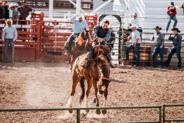 rodeio e cowboys na arena montando cavalos selvagens - horseback riding cowboy riding recreational pursuit - fotografias e filmes do acervo