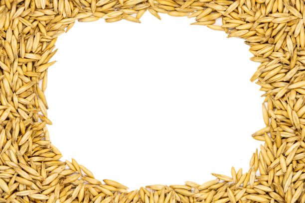 Heap of organic oat grains as background, healthy food and nutrition