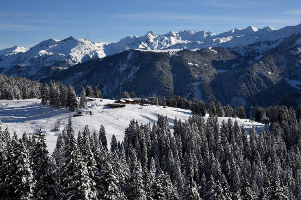istock Winter Landscape in the Swiss Alps 1088209294