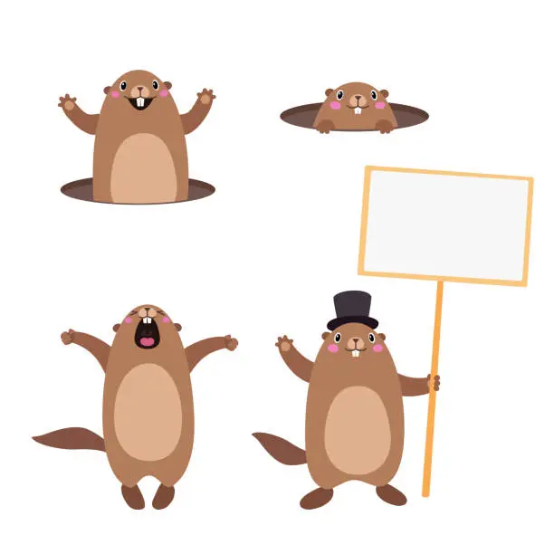 Vector illustration of Set of groundhog popping out of his hole and holding a blank sign board. Flat