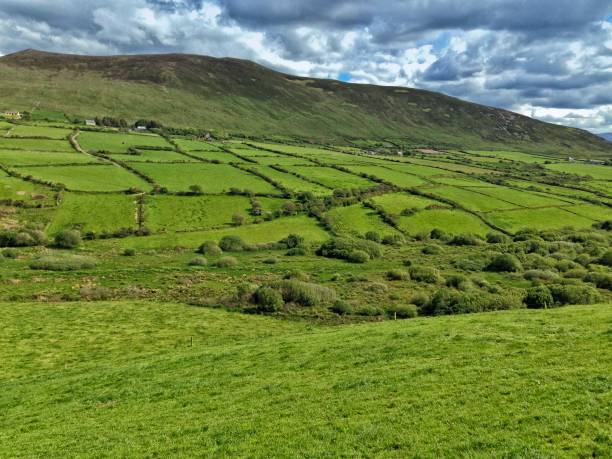 istock Rolling Farmland in Ireland 1088233970