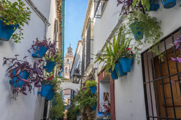 istock Flower street in Cordoba 1088239638