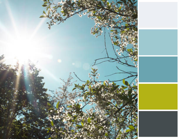 Color palette. Blue and green shades.