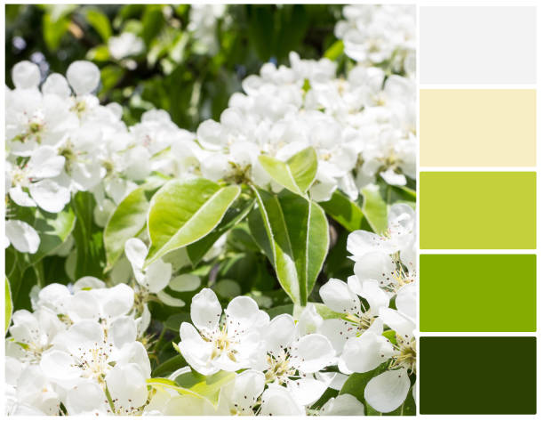 istock Blossom color palette. 1088239820