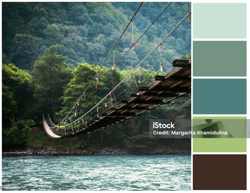 Color Palette Green Shades Stock Photo - Download Image Now - Artist's  Palette, Bridge - Built Structure, CMYK - iStock
