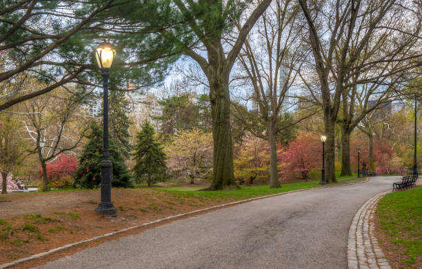 istock Central Park, New York City in spring 1088240034