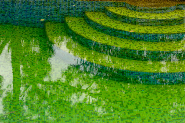 The water in the pool is rotten. Unclean pool