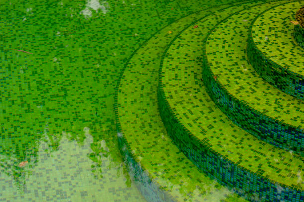istock The water in the pool is rotten. Unclean pool 1088240108