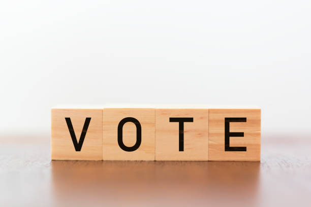 istock Wooden cubes with vote written against white background 1088246008