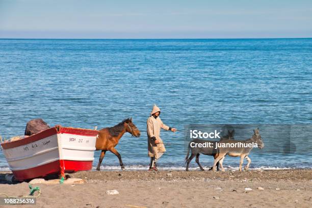 A Young Man In Traditional Moroccan Attire Walks His Donkeys On The Beach Of Oued Laou A Small Town On The Coast Of The Mediterranean Sea Morocco Stock Photo - Download Image Now