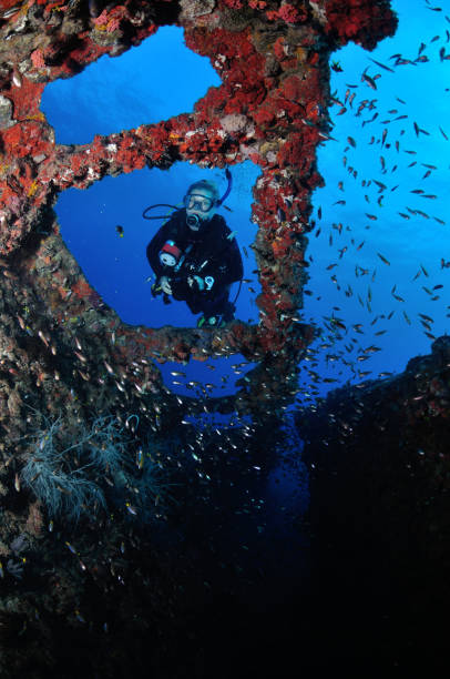 Diver exploring SS Yongala shipwreck, Townsville, Great Barrier Reef, Australia stock photo