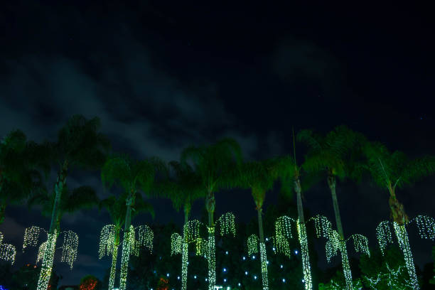 istock Christmas Decoration Outdoors at night 1088258560