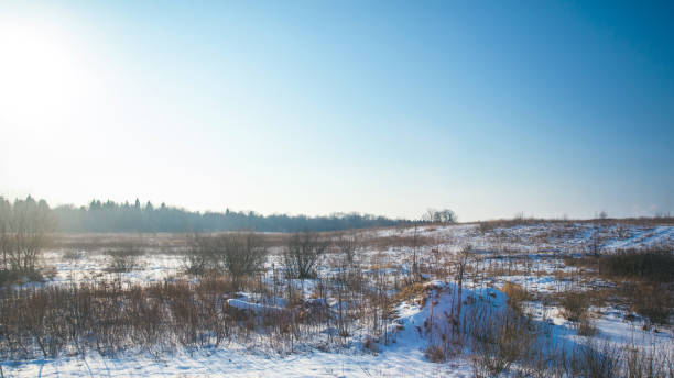 istock winter rural landscape on a sunny day 1088265772