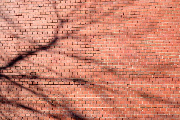 Building of the Japanese brick
