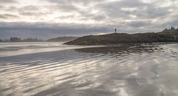 Shoreline of Pacific Rim National Park on Vancouver Island, British Columbia