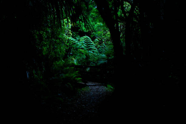 istock New Zealand hiking 1088300596