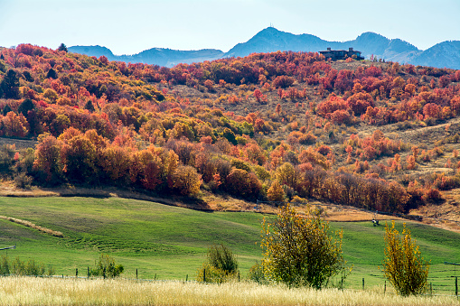 colorful trees in the northern utah mountain range near ogden in the fall