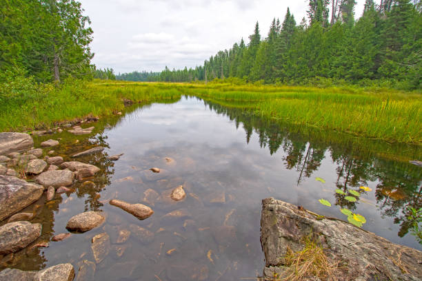 istock Green Channel out to a Wilderness Lake 1088302352