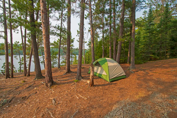 istock Quiet Campsite on in the  North Woods 1088302356
