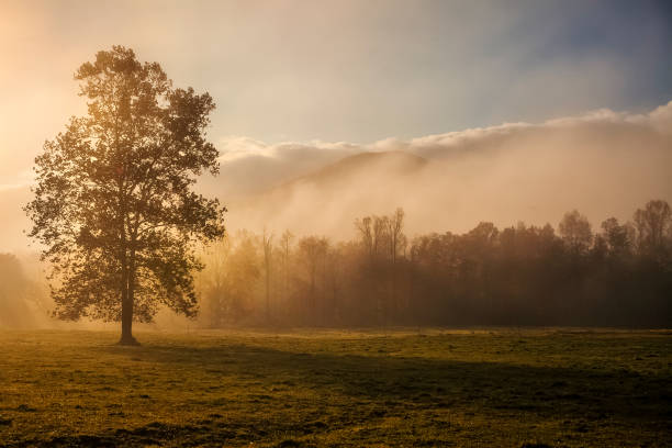 istock Cades Cove at Dawn 1088311788