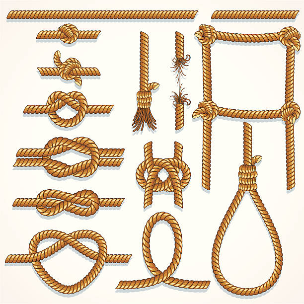 bildbanksillustrationer, clip art samt tecknat material och ikoner med a collection of drawings of various ropes and knots - repsknop