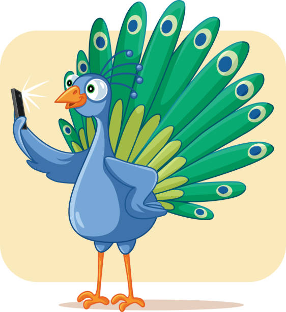ilustraciones, imágenes clip art, dibujos animados e iconos de stock de pavo real narcisista teniendo un selfie vector de dibujos animados - adulador