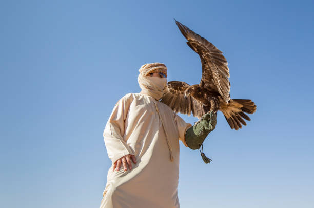 istock Falconer in a desert training a bird 1088321228