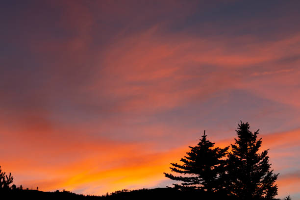 istock Colorful Sunset behind hills and trees. 1088324476